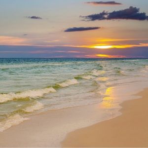 Meet your Posher, Brandy